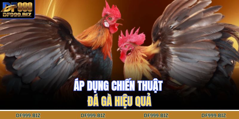 Sử dụng chiến lược đá gà hiệu quả