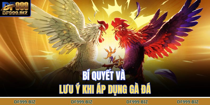 Bí Quyết Và Lưu Ý Khi Áp Dụng Gà Đá 