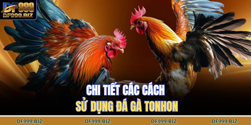 Chi tiết các Cách Sử Dụng Đá Gà Tonhon 