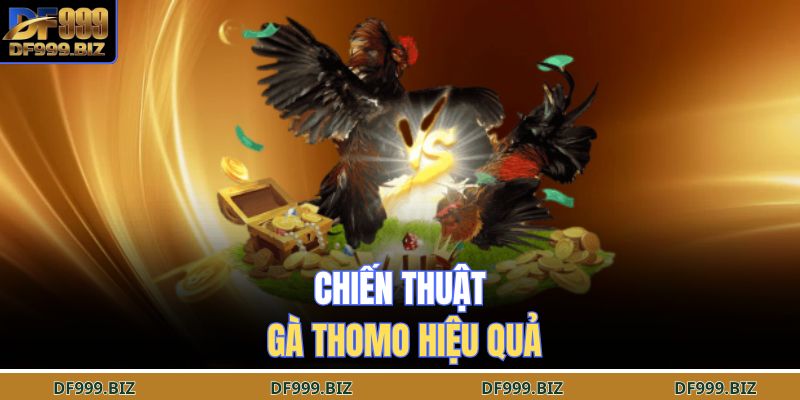 Chiến thuật gà Thomo hiệu quả