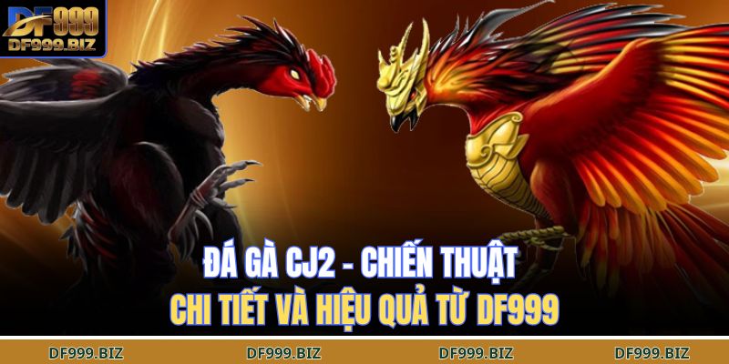 Đá gà cj2