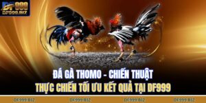 Đá gà thomo