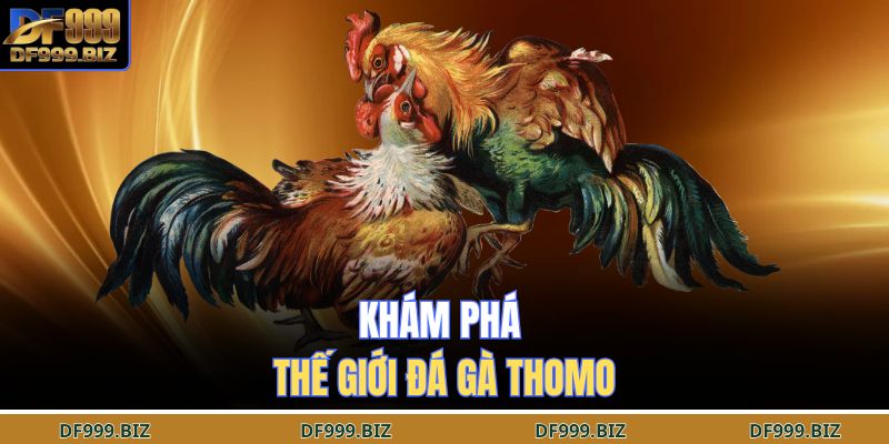 Khám phá thế giới đá gà Thomo