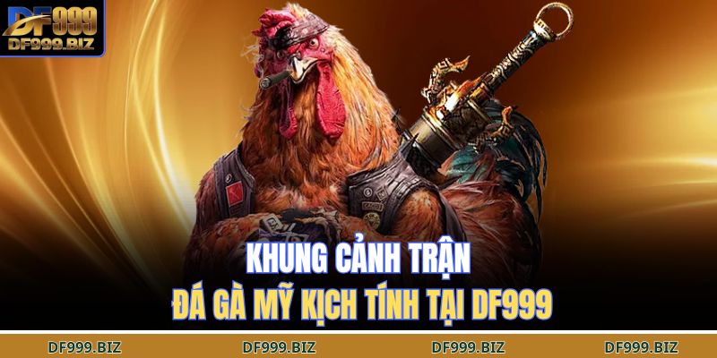 Khung cảnh trận đá gà Mỹ kịch tính tại DF999