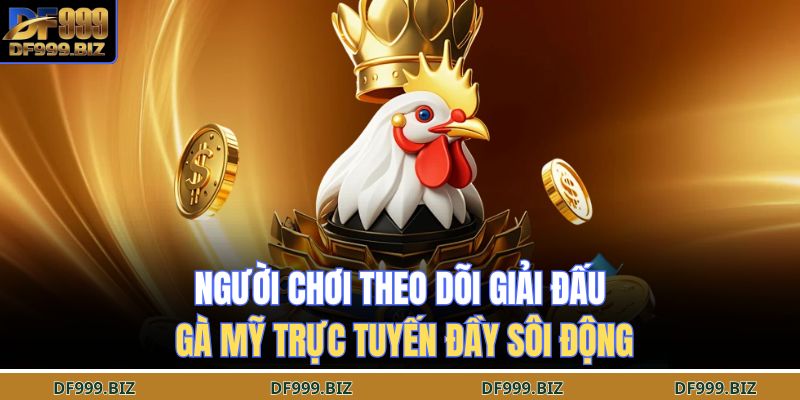 Người chơi theo dõi giải đấu gà Mỹ trực tuyến đầy sôi động