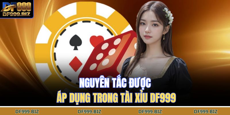 Nguyên tắc được áp dụng trong tài xỉu DF999